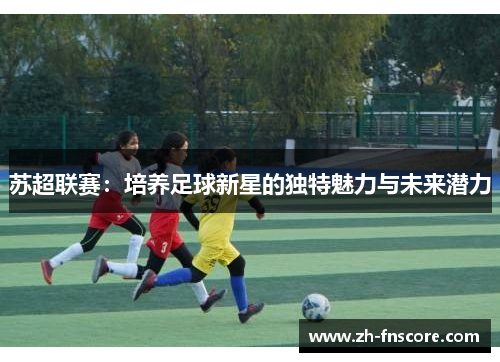 苏超联赛：培养足球新星的独特魅力与未来潜力